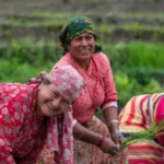women farming in nepal